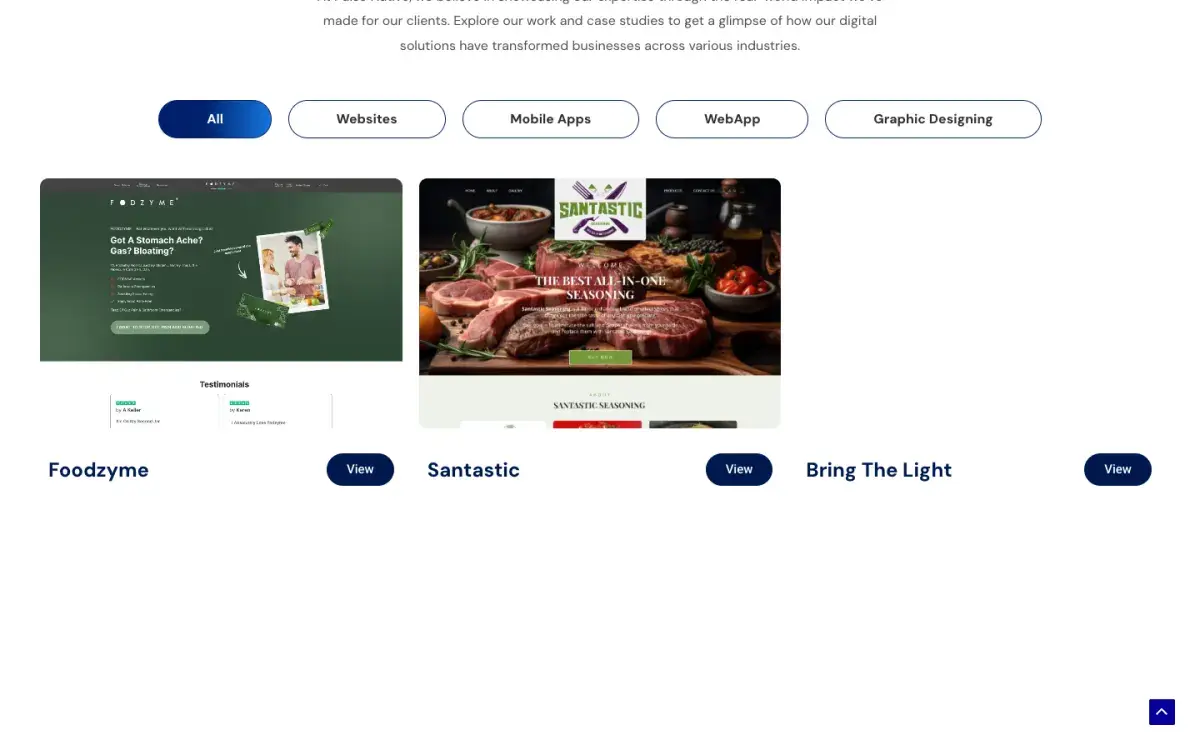 Our Work and Case Studies portfolio with category filters