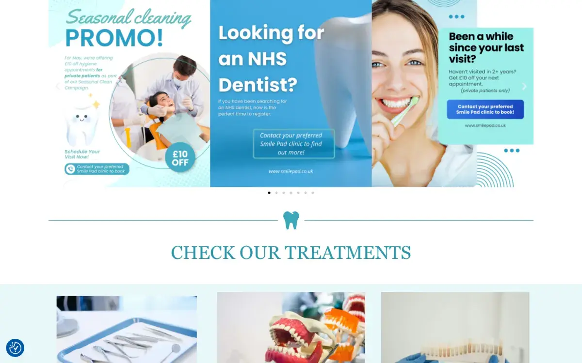 Seasonal cleaning promo above Check Our Treatments